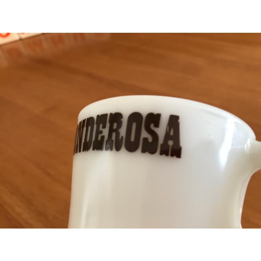 パイレックス pyrex コーニング PONDEROSAポンデローザマグ : Tom-nuy
