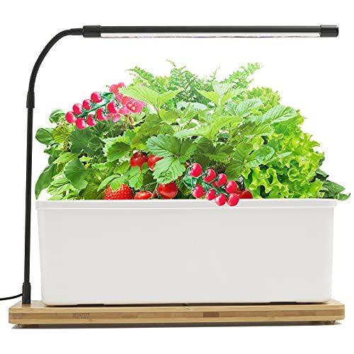 水耕栽培キット野菜栽培キット植物栽培ライト付き屋内水耕栽培苗 在庫限り 栽培ファッションホームガーデン発芽キット水循環システムを装備耳口栽培 キットランプシェード