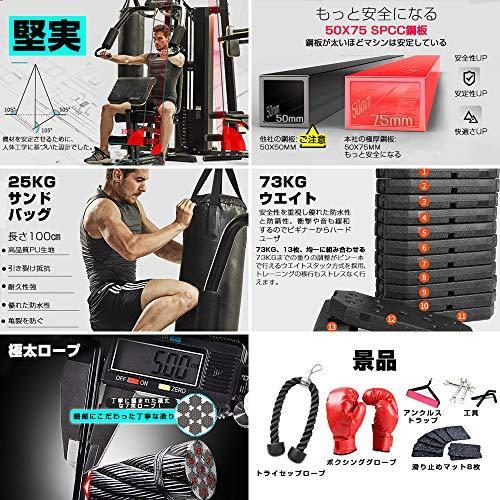 【最終】 ReshapeLife バージョンアップ マルチホームジム マルチジム 筋トレ 大型マシン トレーニングマシン 約３畳 【KUE2528506390】(91817円)