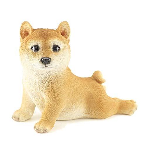 肥料 薬品 無地 新色登場 ファンシー Ca198 シバ犬 いぬ 柴犬 置物 インテリア ガーデニング 贈り物 ガーデンオーナメント 犬 好き な 人 へ の プレゼント 誕 8p55fxsbwk Lajames Edu