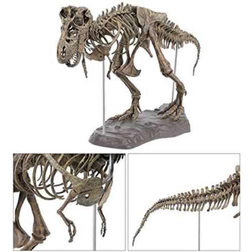 ３Ｄ立体パズル ティラノサウルス・レックス 骨格標本 大迫力・大型 全長70cm インテリアとしても際立ちます。（色は、付いておりません・絵の具12色｜tomato2021｜04