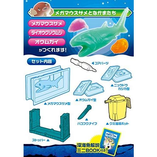 さかなクンの深海魚研究所 メガマウスザメとなかまたち｜tomato2021｜02