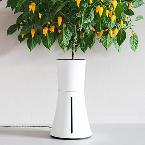 【新品 送料込み】 BOTANIUM(ボタニアム) 水耕栽培キット スモークホワイト 【1635764386】(10202円)