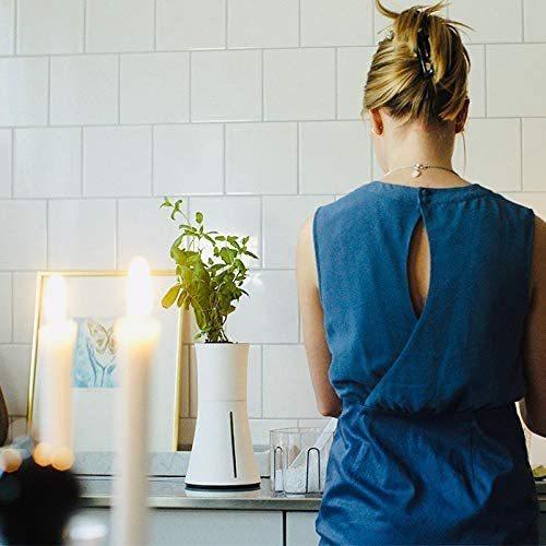 【新品 送料込み】 BOTANIUM(ボタニアム) 水耕栽培キット スモークホワイト 【1635764386】(10202円)