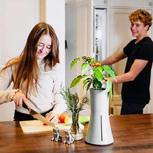 【新品 送料込み】 BOTANIUM(ボタニアム) 水耕栽培キット スモークホワイト 【1635764386】(10202円)