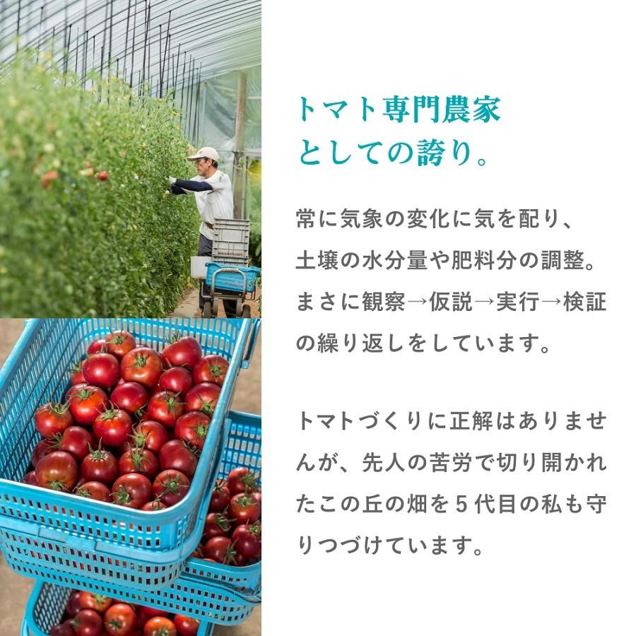 トマトジュース【180ml 30本入】北海道 送料無料 フルーツトマト｜tomatojuice｜11