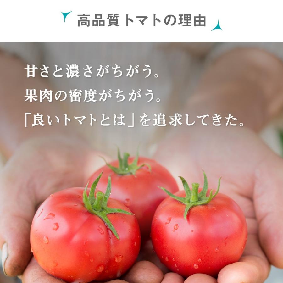 75 Off トマトジュース 180ml 30本入 北海道 送料無料 フルーツトマト Dprd Jatimprov Go Id