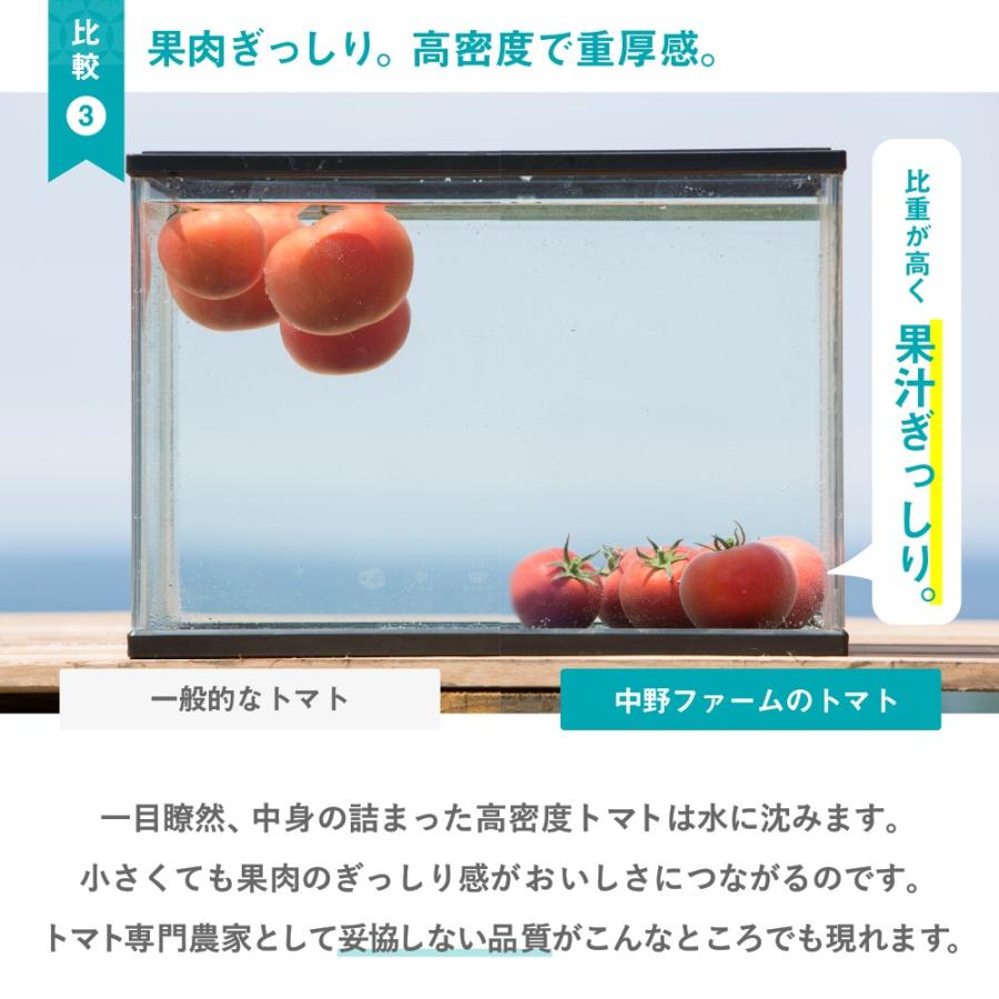 75 Off トマトジュース 180ml 30本入 北海道 送料無料 フルーツトマト Dprd Jatimprov Go Id