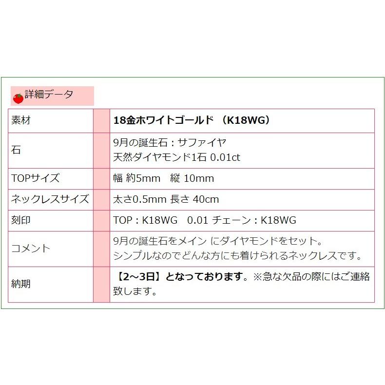 K18WG　誕生石シリーズ　プチネックレス　9月　サファイヤ　_9