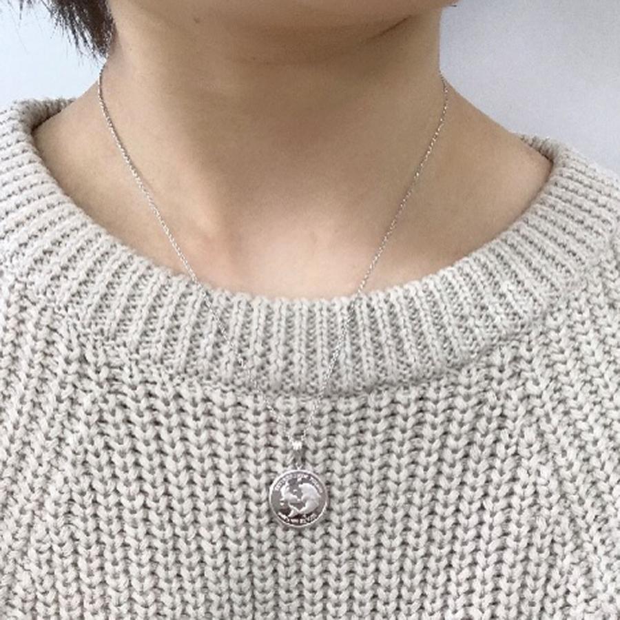 純銀　イルカ コイン Pobjoy Mint　 1/10オンス　ネックレス(シルバー925チェーン付き) POBJOY MINT LIMITED SILVER 999 1/10 ozの画像