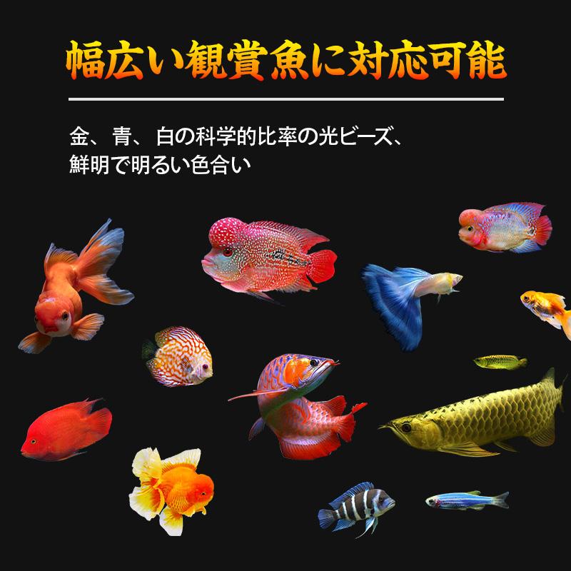 マインライト　水中ライト　水槽ライト MAYIN マイン 白青金マジックライト 52cm アクアリウムライト