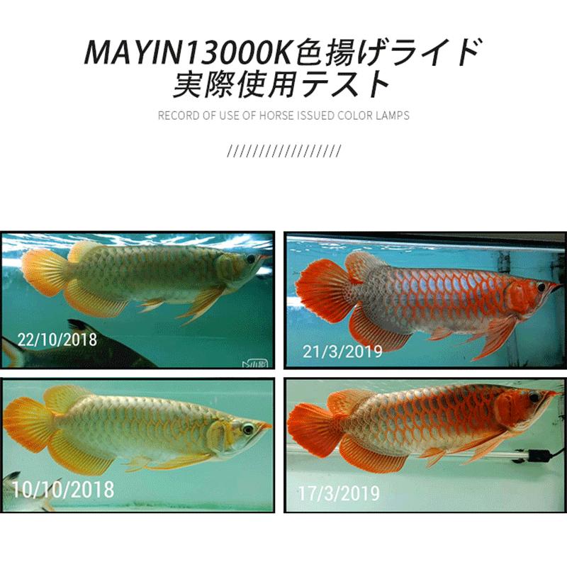Mayin マイン 馬印 92cm 13000k 変圧器セット テンニングライト 蛍光灯