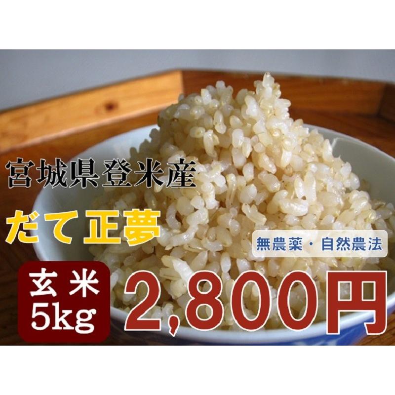 令和3年産 だて正夢 5kg 玄米 宮城 登米 特別栽培米 米 農薬・化学肥料不使用 :dm0004:登米ライスサービス - 通販 -  Yahoo!ショッピング