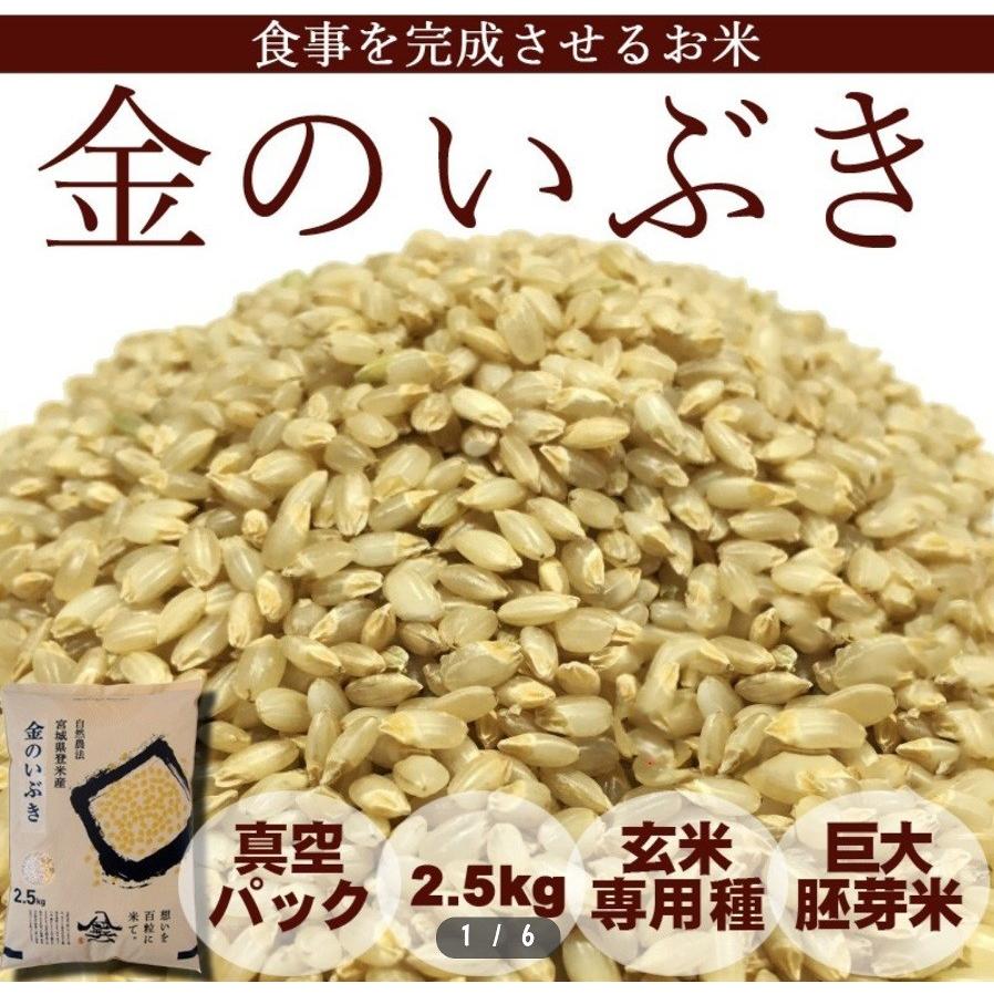米 お米 令和5年産 金のいぶき 2.5kg 玄米 宮城 登米 特別栽培米 農薬