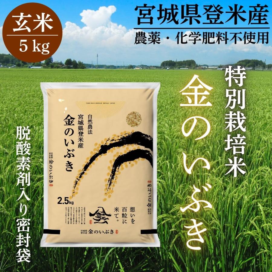 令和7年産 金のいぶき 5kg (2.5kg×2)玄米  宮城 登米 特別栽培米 農薬・化学肥料不使用 食事を完成させるお米 玄米食専用