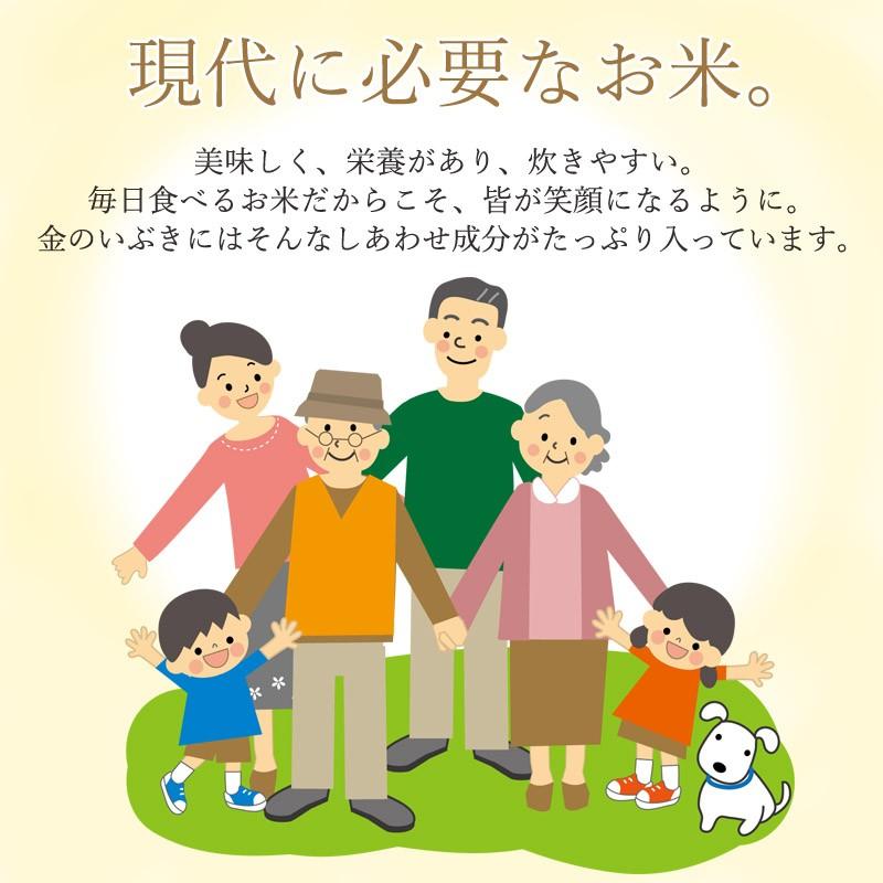 令和7年産 金のいぶき7.5kg (2.5kg×3)玄米 宮城 登米 特別栽培米 農薬・化学肥料不使用 食事を完成させるお米 玄米食専用_1