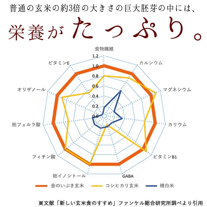令和7年産 金のいぶき7.5kg (2.5kg×3)玄米 宮城 登米 特別栽培米 農薬・化学肥料不使用 食事を完成させるお米 玄米食専用_2