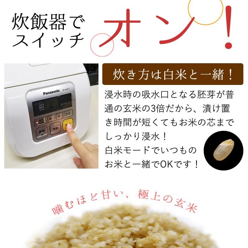 令和7年産 金のいぶき7.5kg (2.5kg×3)玄米 宮城 登米 特別栽培米 農薬・化学肥料不使用 食事を完成させるお米 玄米食専用_3