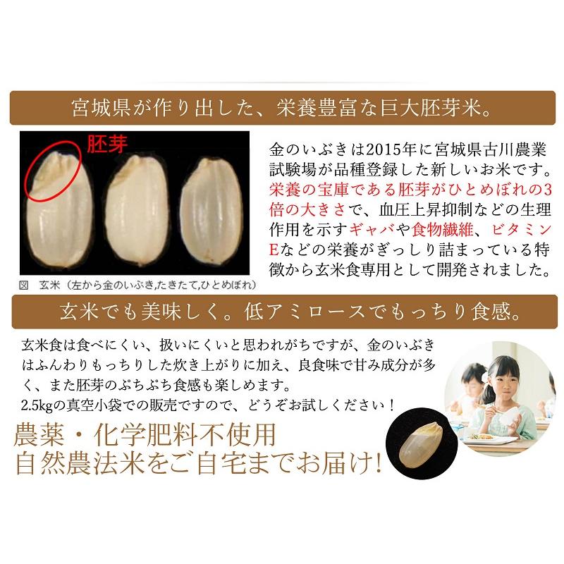 令和7年産 金のいぶき10kg (2.5kg×4)玄米 宮城 登米 特別栽培米 農薬