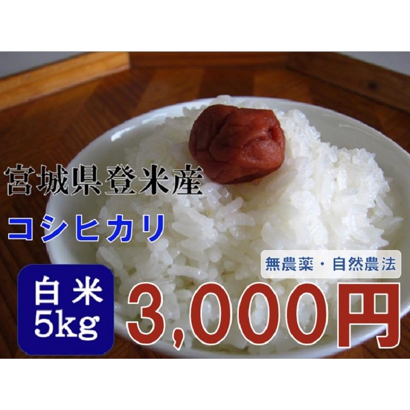 米 お米 令和5年産  コシヒカリ 5kg 白米  宮城 登米 米 特別栽培米 農薬・化学肥料不使用｜tomerice