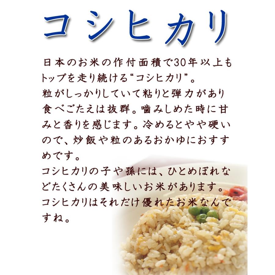 米 お米 令和5年産 コシヒカリ 2.5kg 七分米  宮城 登米 米 特別栽培米 農薬・化学肥料不使用｜tomerice｜02