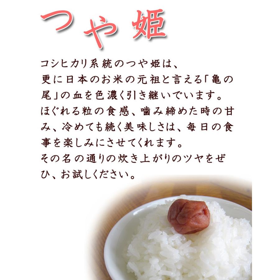 つや姫 令和7年産 登米産 玄米 15kg 特別栽培米 農薬・化学肥料不使用