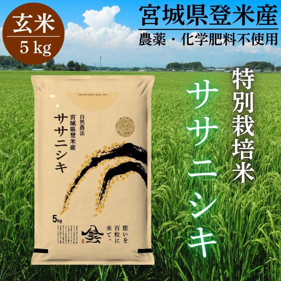 食品 ササニシキ 玄米10キロ 農薬不使用・肥料不使用 自然栽培米