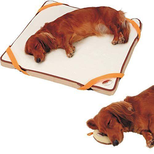 セット買いペティオ Petio ずっとね 床ずれ予防ベッド 小型犬用 小 Petio ずっとね 床ずれ予防クッション ドーナ とみたけショップ 通販 Yahoo ショッピング