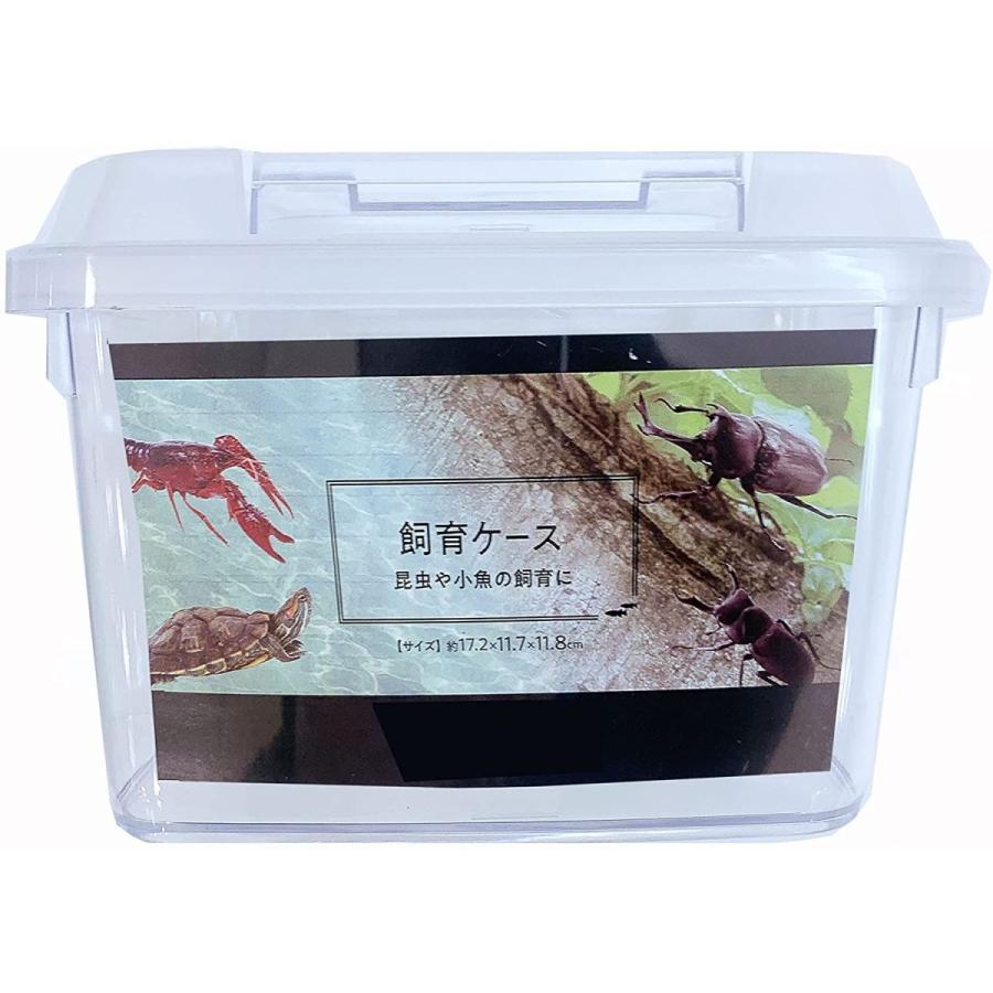 568円 14周年記念イベントが カメ飼育 ミニプラ水槽セット 虫かごカメのエサ55g キレイな水質をつくる麦飯石250g付属キッズわくわく生き物研究