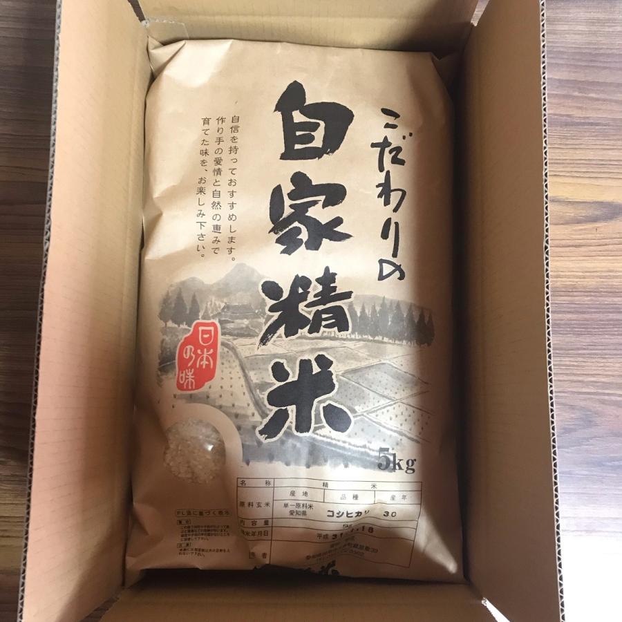 コシヒカリ 令和6年産 コシヒカリ 10kg 愛知県産 白米 無洗米 コシヒカリ 令和6年産 コシヒカリ 10kg 愛知県産 白米 無洗米