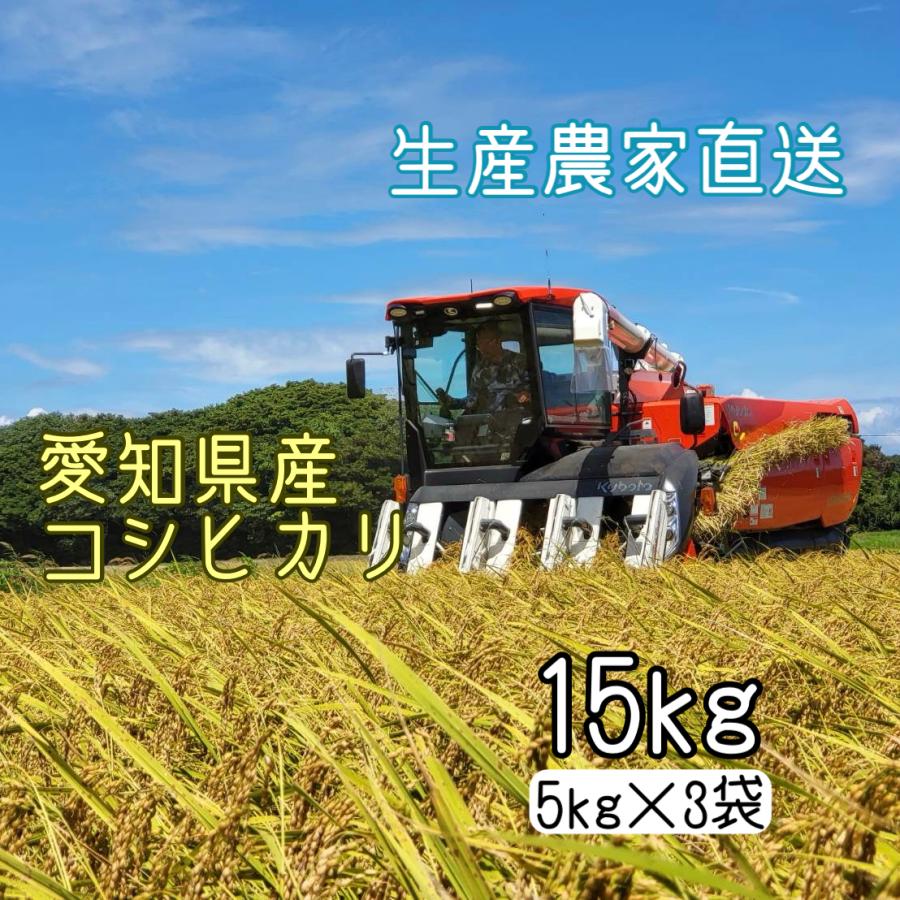 コシヒカリ 令和7年産 15kg 5kg×3袋 愛知県産 白米 無洗米 生産農家 