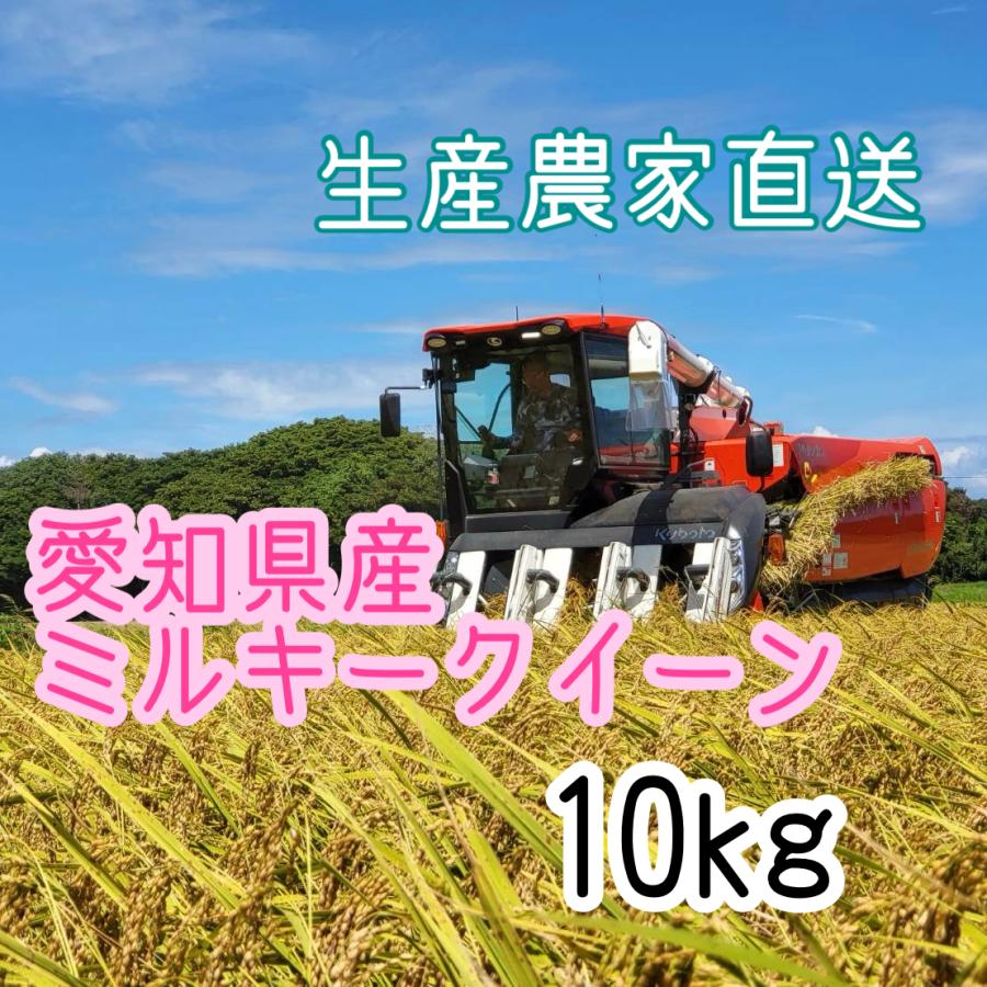 ミルキークイーン 令和7年産 愛知県産ミルキークイーン 10kg 白米 無