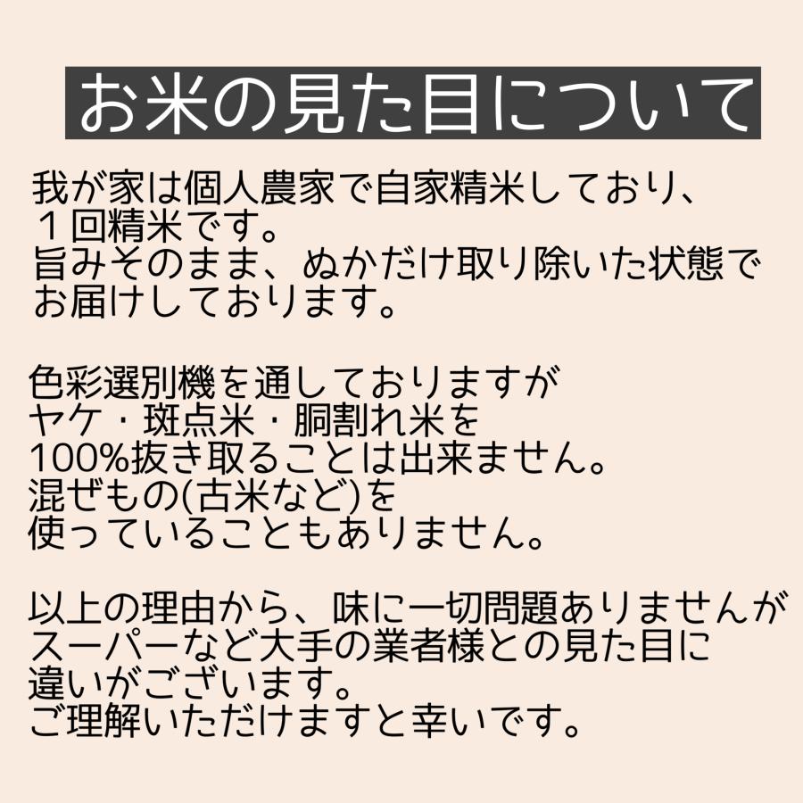 ミルキークイーン 令和7年産 愛知県産ミルキークイーン 10kg 白米 無 