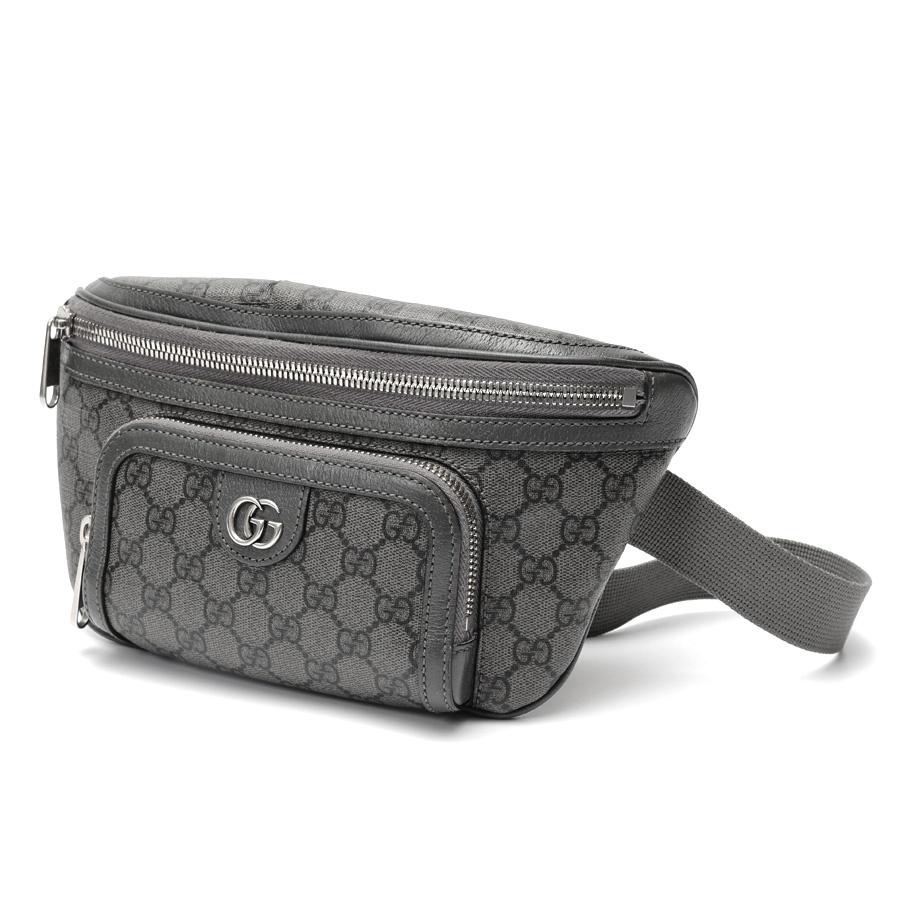 GUCCI（グッチ） オフィディア ミディアム ベルトバッグ 733868 GG