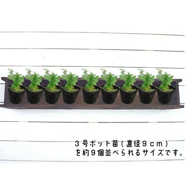 木製 スリムプランター900 お買い得2個セット : 富田木工所 - 通販