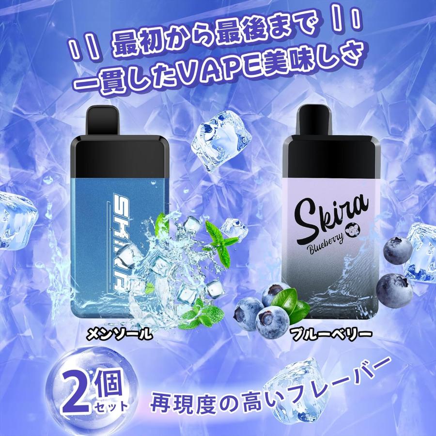 電子タバコ 使い捨て VAPE 2点入り 約20000回吸引可能 大容量