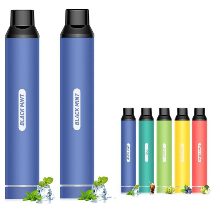 本格シーシャ 水タバコ 電子ベイプでマンションでも吸える2人同時可能 電子タバコ 使い捨て VAPE シーシャ 鬼ミント風味 2本 10000回吸引可能