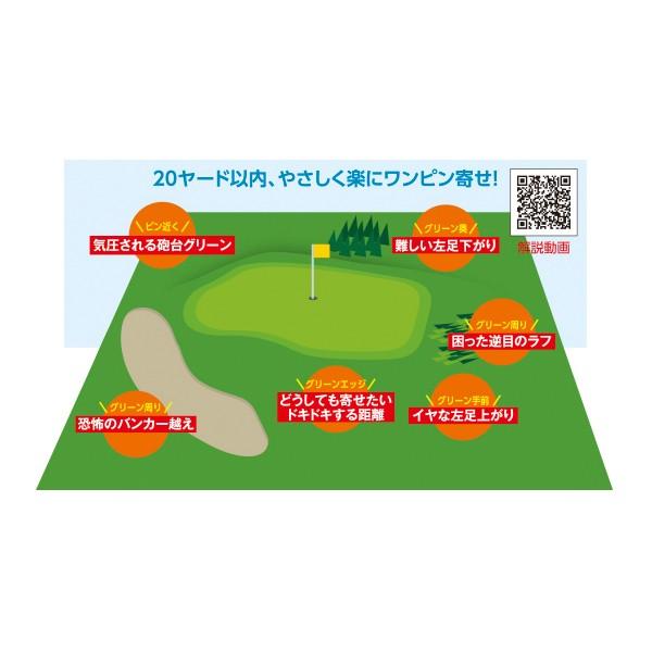 Dolphin Wedge Kasco キャスコ ドルフィン フライング ウェッジ DFW