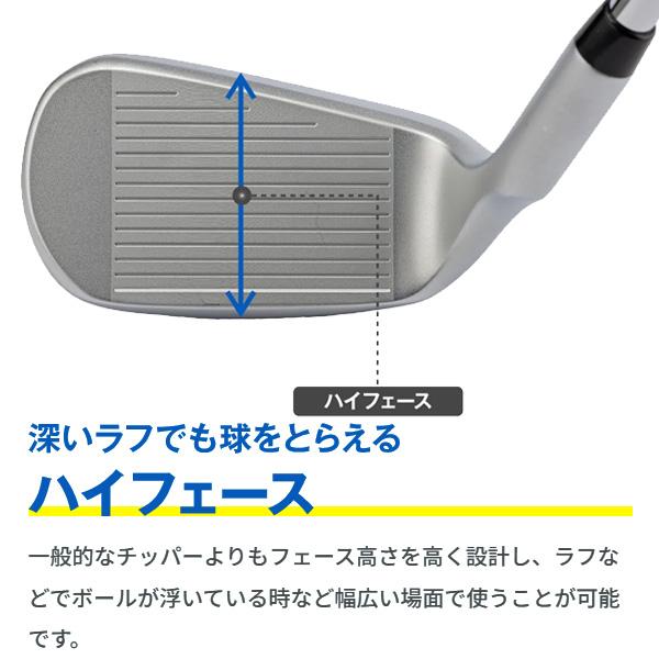 Dolphin Wedge キャスコ ドルフィン フライング ウェッジ DFW-225 【55