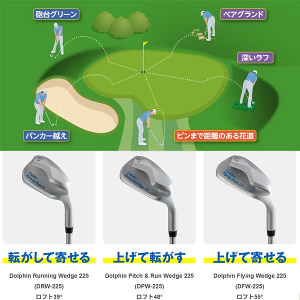 Dolphin Wedge キャスコ ドルフィン フライング ウェッジ DFW-225 【55