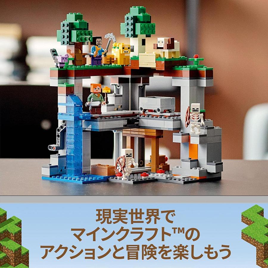 マイクラ レゴブロック 最初の冒険 21169 マインクラフト LEGO｜tominari-store｜04