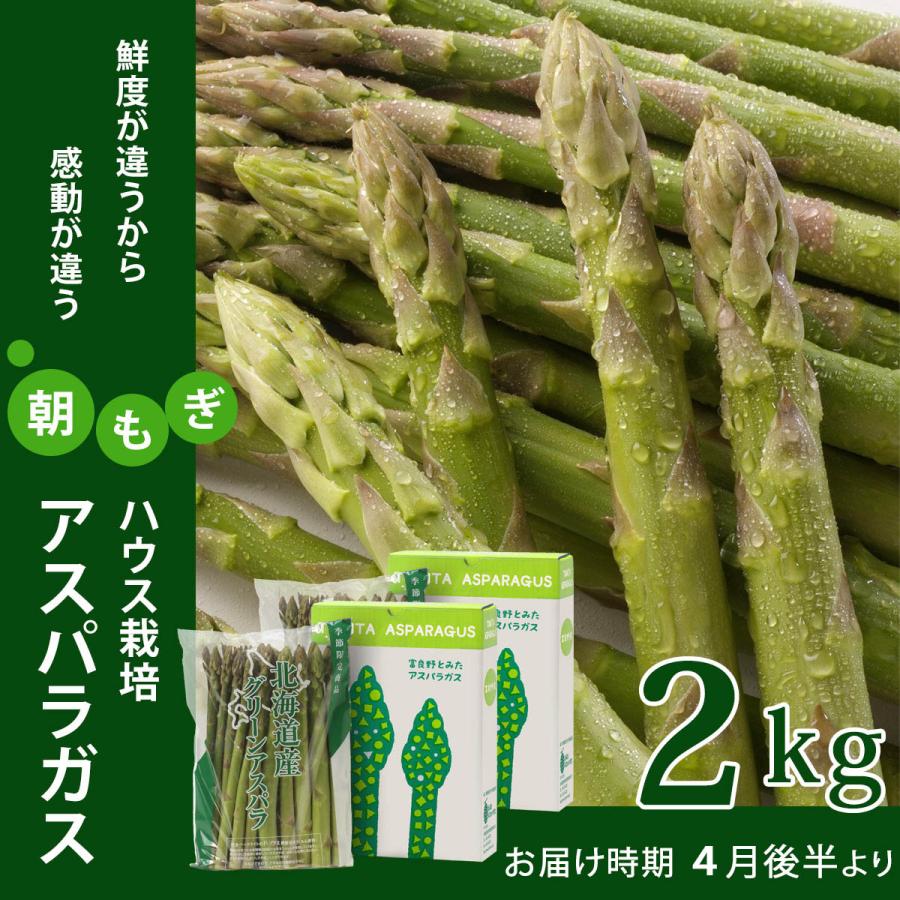 朝採りアスパラガス アスパラガス ハウス栽培 野菜 2kg 富良野産