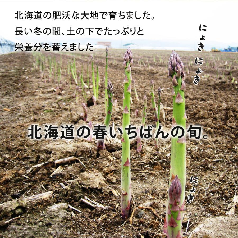アスパラ ガス 露地 栽培