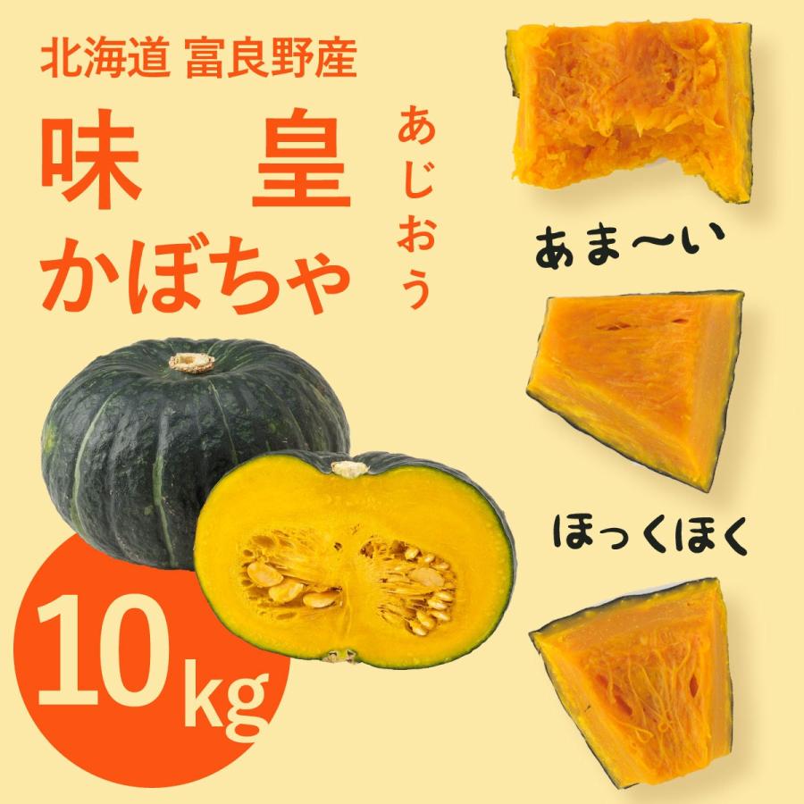 富良野産 かぼちゃ味皇【10kg】｜tomita-melon