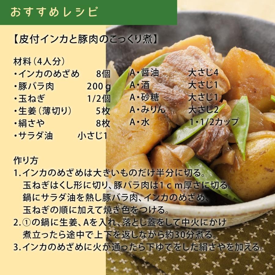幕別町産 インカのめざめ 5kg 9180 とみたメロンハウスyahoo ショップ 通販 Yahoo ショッピング
