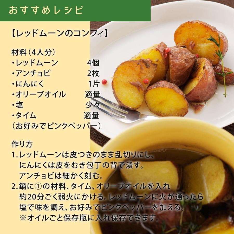 富良野産 じゃがいも レッドムーン 5kg 9800 とみたメロンハウスyahoo ショップ 通販 Yahoo ショッピング