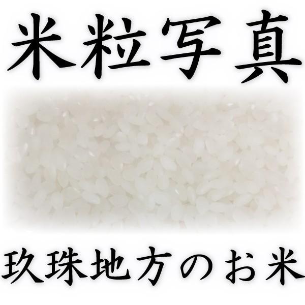 ひとめぼれ お米 米 5kg 白米 送料別 大分県 玖珠産 高級米 令和