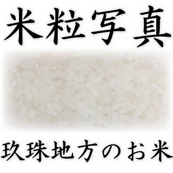 お米 米 5kg 白米 大分県 玖珠産 ひとめぼれ 高級米 あすつく 令和5年産 5kg1個  棚田米 富田商店 とみた商店｜tomitasyoten｜03