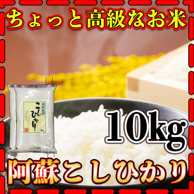 コシヒカリ お米 米 10kg 白米 送料別 熊本県 阿蘇産 こしひかり