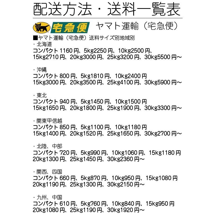 米 10kg 当店お得米 一粒の夢 訳あり 精白米 通販商品 令和2年版 規格外米 10kg1個 くまもとのお米 ノークレーム ノーリターン 九州 熊本 富田商店 とみた商店 010 くまもとのお米販売店富田商店 通販 Yahoo ショッピング